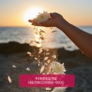 효도장묘