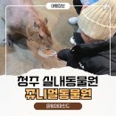 쥬니멀 | 아이와 주말 나들이로 딱이었던 청주실내동물원 쥬니멀동물원 후기