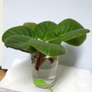 색연필화 이미지