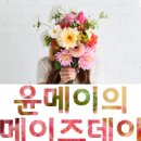 메이의보울 네이버블로그