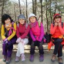 백양산 나들숲길 이미지