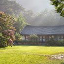 산삼이야기 Daum카페
