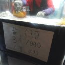 도봉문고 네이버블로그
