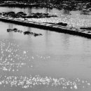 스테이 클래시 이미지