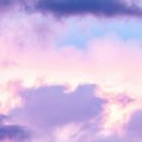 자연을 담은 오일파스텔 이미지