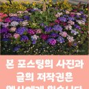 수봉국악회관 | 인천 가볼만한 곳-수봉공원 스카이워크(주차와 봄꽃안내)