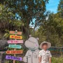 물만난고기초앤정 | 푸꾸옥 북부 여행 | 빈펄사파리 2편 | 주키퍼 | 버드쇼 | 사파리버스