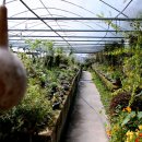 삽재농장 이미지