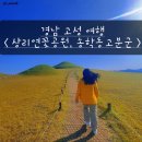 신사천성 | 경남 고성여행 &lt; 상리연꽃공원, 송학동 고분군 &gt;