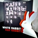 세종S씨어터 | 2026 연극 화이트래빗 레드래빗 홍나현 총첫후기 세종문화회관 S씨어터 시야