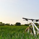 대명로14길 이미지