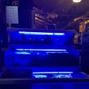 선우포차 이미지