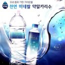 알카리수