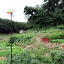 향림원유치원 이미지