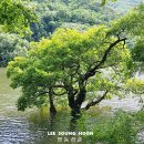 얼음골폭포민박 이미지