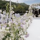 스파클럽 이미지