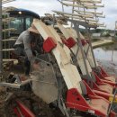 오작교농장 이미지