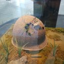 강화고인돌 캠핑장 이미지