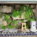 지리산1박2일펜션 | [국내여행] 함양 여행 1박 2일 지리산 소자연 아래채 펜션 지리산뷰 마운틴뷰 함양 숙소 내돈내산 솔직...