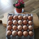 우촌농장 이미지