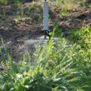 금월농장 이미지