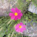 은혜행정사사무소 이미지