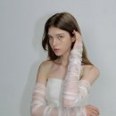 에드케어 | W. 르에드 드레스 피팅 후기(웨딩촬영 드레스 대여)