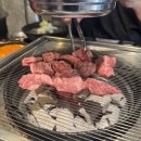 동적깡통구이일산라페스타