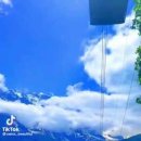 알프스공인중개사사무소 이미지