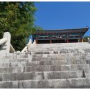 봉황거리 벽화 이미지