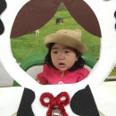 다온목장 이미지