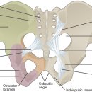 장천한의원 이미지
