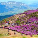 2019-주103 이미지