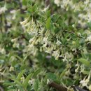 박용철 전집 시집 이미지