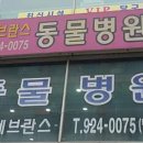 세브란스 동물병원 이미지