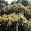 풍경화꽃식물원 이미지