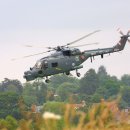 LYNX
