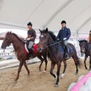 장수승마장 이미지