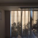 미영이네 민박 | 알려줘 제주 그만 사랑하는 법 (2)