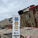 김포드림캣 | 김포 고영주택 유기묘 무릎냥이 50마리가 있는 감성 인생샷 고양이카페