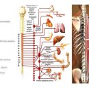 윤한의원 이미지