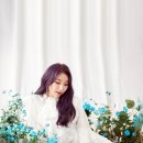 채연헤어 - 천안시 동남구 | 채연헤어