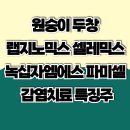 엠에스 랩 이미지