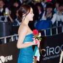 그린카펫 이미지