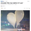 [속보] 합참 "북한, 대남 오물 풍선 추가 살포" 이미지