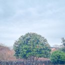 오목로52길 이미지