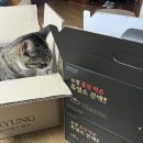 보령흑염소 | 수족냉증 있는 제가 먹어본 보령 홍삼먹은 흑염소진액 리얼 후기
