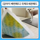 글로벌패드 | 강아지 배변 패드 추천, 하루 1장이면 OK 미국 아마존까지 진출한 국제모세관패드 사용 후기