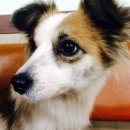 데굴데굴 당구장 이미지