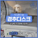 잠실베스트동물병원 수술재활센터 이미지